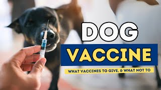 Dr Andrew Jones explains WHAT Dog Vaccines to GIVE and what NOT to [upl. by Minne]