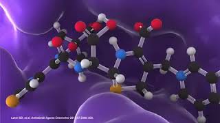 CEFTAZIDIME AVIBACTAM [upl. by Uos]