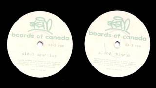 Boards Of Canada  Aquarius Version 1 [upl. by Nanice]