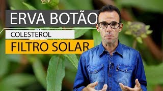 Erva Botão Colesterol e Filtro solar [upl. by Biamonte]