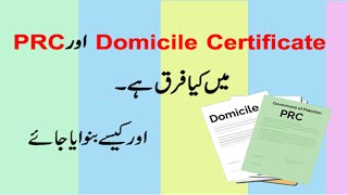 Difference in Domicile and PRC  How to make Domicile Certificate in Pakistan [upl. by Felicdad]