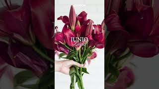 FLORES para BODAS  Estudia y WEDDINGPLANNER con ESNECA 📚 elearning masteronline [upl. by Nottus]