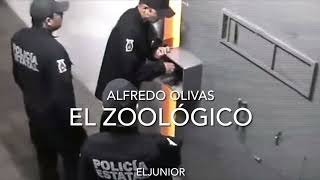 ALFREDO OLIVAS EL ZOOLÓGICO [upl. by Boar]