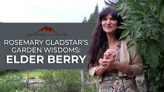 Rosemary Gladstars Garden Wisdoms Elderberry Medicine [upl. by Areem]