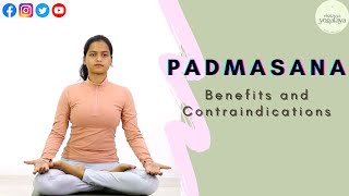 Padmasana पद्मासन Benefits amp Contraindications [upl. by Sharity756]