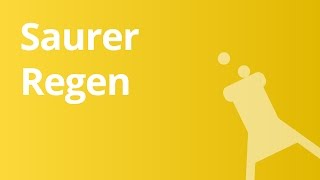 Saurer Regen Entstehung und Auswirkungen  Chemie [upl. by Irollam]