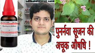 Punarnava  Homeopathic medicine Boerhaavia Diffusa  Sign and symptoms  Disease and doses [upl. by Asek]