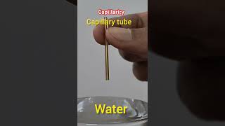 Capillarity  capillary action  केशिकात्व  surface tensionadhesive force education science [upl. by Farrel545]