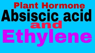 Plant HormoneAbscisic Acid And Ethylene TGTPGTNEETMScBScClass 12thClass 10thCBSE Board [upl. by Olocin]