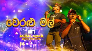 Weralu Mal  වෙරළු මල් ANTZ  Aura Lanka Music Festival [upl. by Paton]