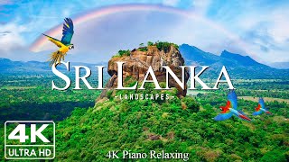 Discovering 4K Sri Lanka  The Golden Beaches Lush Tea Plantations and the Rich Cultural Heritage [upl. by Iraj660]