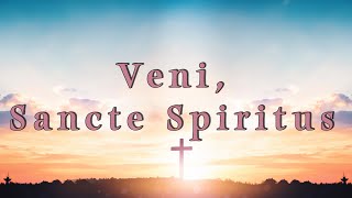 Veni Sancte Spiritus Lyric Video [upl. by Anoerb584]