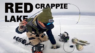 POUNDING RED LAKE CRAPPIES Ice Fishing 2024 [upl. by Eigriv730]