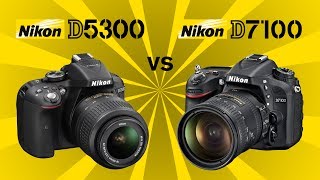 Nikon D5300 vs Nikon D7100 [upl. by Hanforrd114]