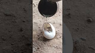 Restoration Casting Melting Aluminum into Snails shorts viralvideo restoration [upl. by Niltiac]