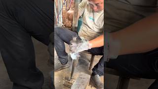 Butcher Knife Handle Installation Processtool shorts [upl. by Ecirtram]