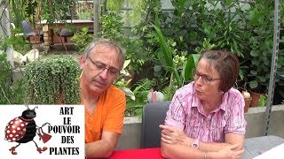 Tuto jardinage Senecio rowleyanus Comment faire une bouture  plantes vertes succulente grasse [upl. by Negris]