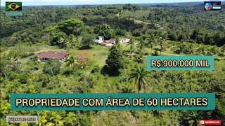 Sítio a venda60 hectares em Ilhéus na Bahia IMAGENS AÉREA R900000 MIL [upl. by Hankins]