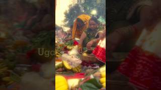 freshtival chatpooja up bihar trending virqlshorts shorts ytshorts [upl. by Naggem]