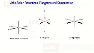 Jahn Taller Effect JahnTaller Distortion High Low Spin Complexes Large Small Delta octahedral [upl. by Adiell]