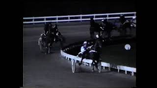 22101990 Alkmaars Parade paard 1990 prijs Domo Dutch [upl. by Ellehcir]