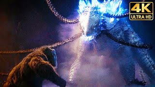 King Kong Meets Skar King amp Shimo 4K Full Fight Scene 2024 Godzilla x Kong The New Empire Movie [upl. by Bulley334]