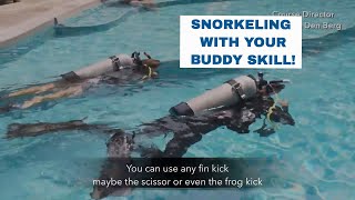 Snorkeling  PADI Open Water Diver Course • Scuba Diving Tips [upl. by Zillah]