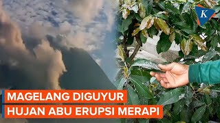 Erupsi Gunung Merapi 7 Desa di Magelang Diguyur Hujan Abu [upl. by Wolenik]