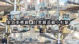 【東急東横線・目黒線武蔵小杉駅】東急車・東京地下鉄車・都営車・営団車・相鉄車・横浜高速鉄道車・埼玉高速鉄道車の発着シーン撮影！ [upl. by Wanda]