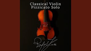 Classical Violin Pizzicato Solo [upl. by Ahsekahs]