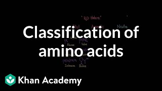 Classification of amino acids  Chemical processes  MCAT  Khan Academy [upl. by Peednas]