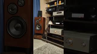 Усилитель Denon PMA SX11  Cambridge audio azur 851n  Акустический кабель canare 4s11 [upl. by Ekyt]