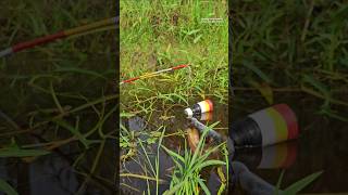 Amazing Hand Hook Fishing Challenge😎 New Style Fishing Techinques fishingvideo fishing shorts [upl. by Nyrhtakyram43]