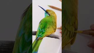 Realistic Green beeeater drawing  Shorts Viralvideos DART887 [upl. by Vinay]