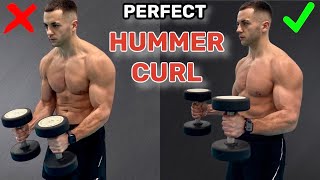 Dumbbell Hammer Curls Tutorial  CORRECT TECHNIQUE [upl. by Ainig]