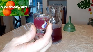 Liquore al Melograno ricetta semplice fatta in casa [upl. by Ativla]