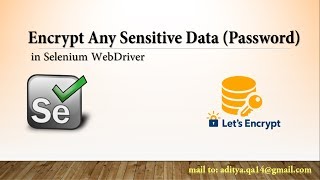 Encode Sensitive Data  Password Encryption in Selenium [upl. by Ikkir]