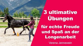 Erfahre wie dein Pferd zu einem motivierten und bewegungsfreudigen Partner beim longieren wird [upl. by Hildie]