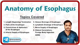 Anatomy of Esophagus Parts Constrictions Neurovascular supply Venous amp lymphatic drainage [upl. by Mast]