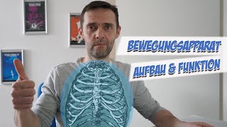 Bewegungsapparat  Anatomie  Pflege Kanal [upl. by Arbua]