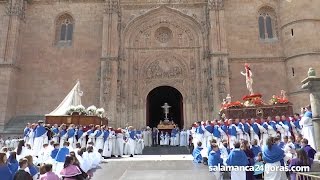 Semana Santa Salamanca 2017  Procesión del Encuentro [upl. by Demott]