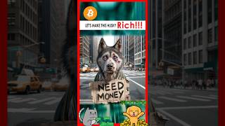 🐶💰How a Poor Husky Became a Millionaire  Dogs and Wealth  husky ai [upl. by Duwad]