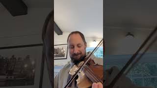 Reel de LAnse Bleu  Cajun Fiddle Tune [upl. by Ilojne]