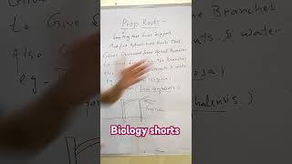 What are Prop Roots Biology shorts Dr Sams Biology [upl. by Allenod194]