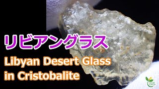 クリストバライト イン リビアングラス Libyan Desert Glass with Cristobalite【Mineral Stone】 [upl. by Ewnihc152]