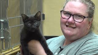 National Adoption Week at PetSmart [upl. by Ahtenak906]