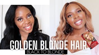 Jet Black to Golden Blonde DIY Hair Tutorial  Very detailed with times and products  ft Nadula [upl. by Lamraj]