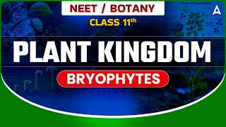 𝐏𝐋𝐀𝐍𝐓 𝐊𝐈𝐍𝐆𝐃𝐎𝐌 𝐂𝐋𝐀𝐒𝐒 𝟏𝟏  BOTANY BRYOPHYTES  NEET SANJEEVANI BATCH  BOTANY BY SANKALP BHARAT [upl. by Immac458]