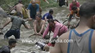 Fishing amid a stiff current among rapids in the Aglar river at Maund mela fish killing festival [upl. by Hanson]