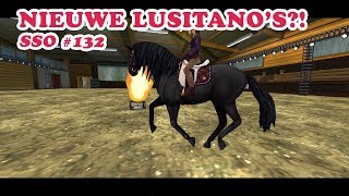 Star Stable Online  Nieuwe Lusitano’s  SSO Lets Play 132 [upl. by Joachim]